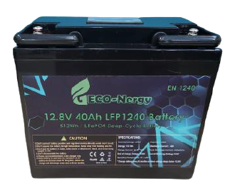 Lithium Battery Eco-Nergy EN12100